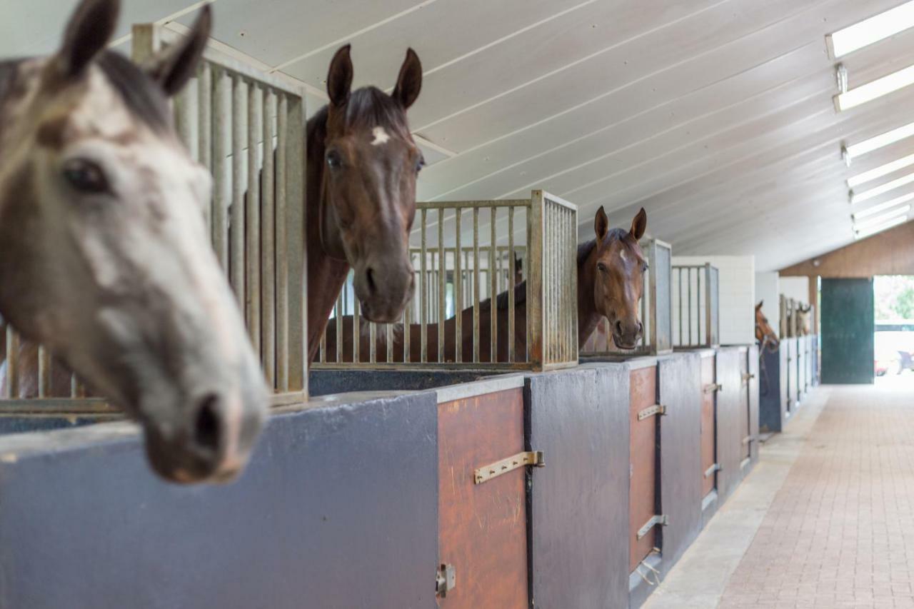 Lenthe Farm Lodge Dalfsen Luaran gambar